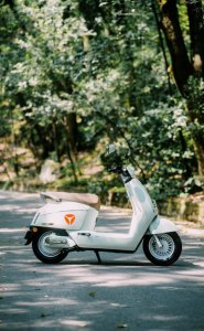 ​踏野山樱之旅 | 感受四月烂漫缤纷，骑雅迪复古小车邂逅春日美好