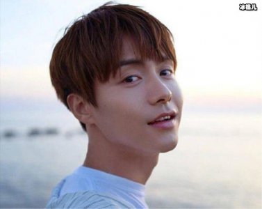 ​脑残粉马天宇向王菲表白 马天宇爱上王菲绿色头发照