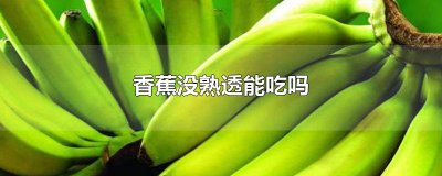​香蕉没熟透能吃吗