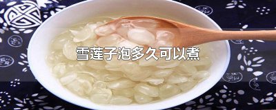​雪莲子泡多久可以煮