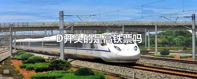 ​D开头的是高铁票吗