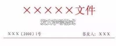 ​发文字号格式