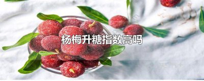 ​杨梅升糖指数高吗