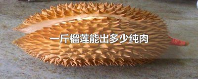 ​一斤榴莲能出多少纯肉
