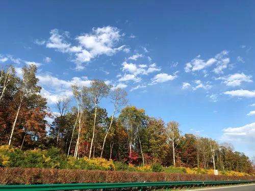 关东是指哪个关以东的地区(关东是指什么以东的地区)(图3) 关东是指哪个关以东的地区(关东是指什么以东的地区)(图3)