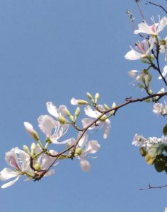 ​怎么能看出来男朋友爱不爱你(如何判断爱不爱男朋友)