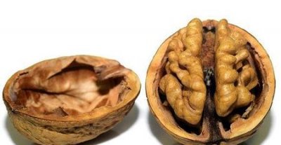 ​七岁孩子一天吃几个核桃好(核桃为什么补脑?难道是以形补形?)