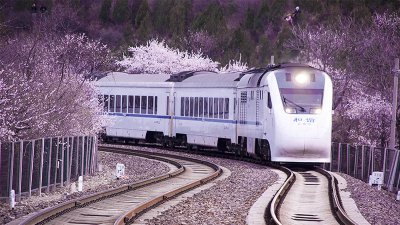 ​动车会晚点吗