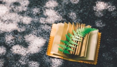 ​对女生投食是什么意思