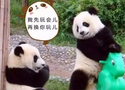 ​熊猫出现刻板行为严重吗 熊猫刻板行为是什么