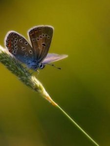 ​何至于此(何至于此是什么意思)