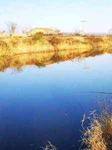 ​冬天钓什么鱼