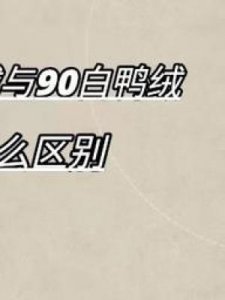 ​90白鸭绒(90白鸭绒和95白鸭绒有什么区别)