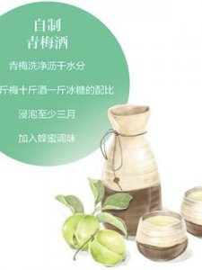 ​梅子什么时候成熟