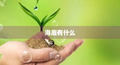 ​海底有什么(海底有什么生物)