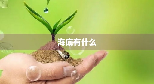 海底有什么
