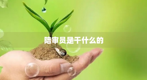 陪审员是干什么的