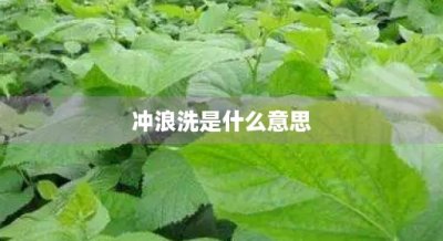 ​冲浪洗是什么意思(海尔洗衣机冲浪洗是什么意思)