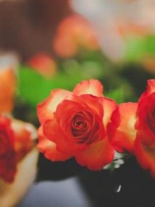 ​什么头小利(什么头小什么)