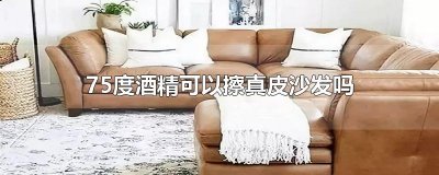 ​75度酒精可以擦真皮沙发吗