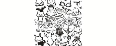 ​75c是34c还是36c