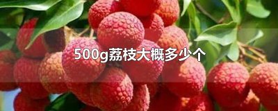 ​500g荔枝大概多少个