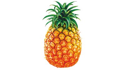 ​风莉和菠萝的区别