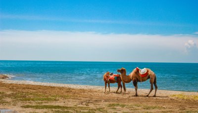 ​青海湖是最大的什么湖