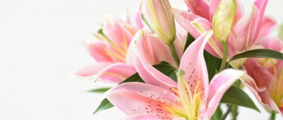 ​看病人送什么花