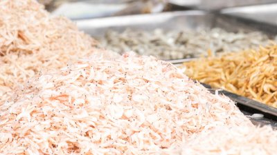 ​生晒和熟晒虾干的区别