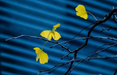 ​已婚男人说忘不了我（男人忘不了一个女人）