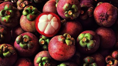 ​山竹的热量是多少