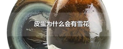 ​皮蛋为什么会有雪花