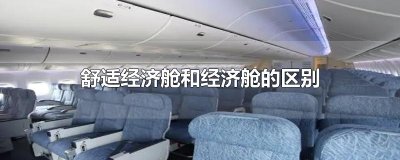 ​舒适经济舱和经济舱的区别