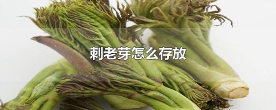 ​刺老芽怎么存放