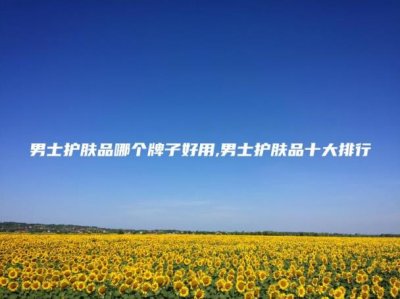 ​男士护肤品哪个牌子好用(男士护肤品十大排行)