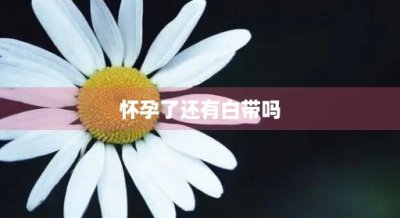 ​怀孕了还有白带吗