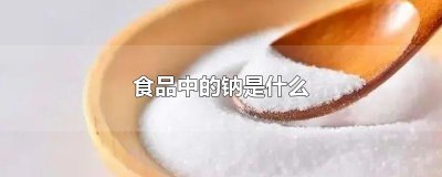 ​食品中的钠是什么