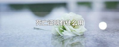 ​死亡证明有什么用