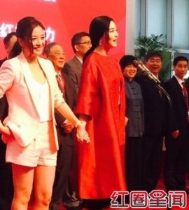 ​范冰冰现在的年收入是多少钱范冰冰是国内最有钱的女星吗_范爷当众骂哭赵薇