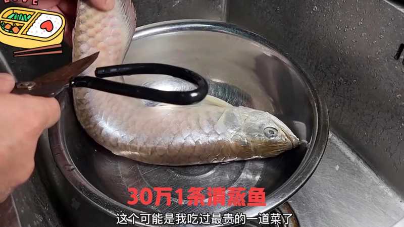 银龙鱼价格多少钱一只（30万一条银龙鱼不慎死亡）