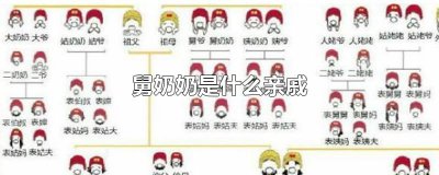 ​舅奶奶是什么亲戚