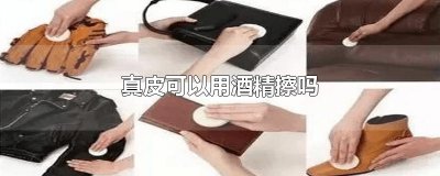 ​真皮可以用酒精擦吗