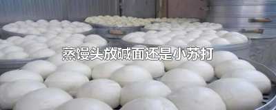 ​蒸馒头放碱面还是小苏打