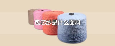 ​包芯纱是什么面料