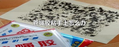 ​苍蝇胶粘手上怎么办