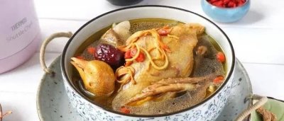 ​坐月子产妇鸽子汤的做法_鸽子汤有什么功效