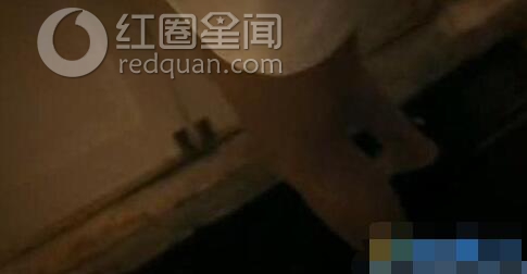 高圆圆湿剃门是怎么回事 高圆圆是如何回应湿剃门事件