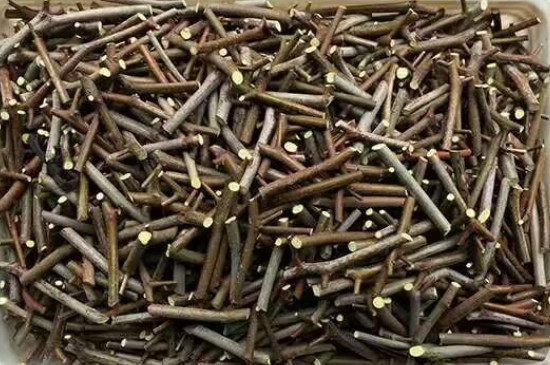 接穗怎么保存(图4)