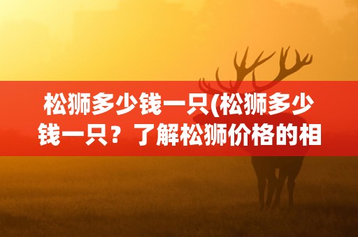 松狮多少钱一只(松狮多少钱一只?了解松狮价格的相关信息) 松狮多少钱一只(松狮多少钱一只?了解松狮价格的相关信息)